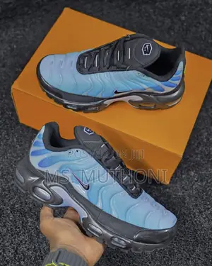 Nike Air Max Plus (TN) Blue Gradient Size 37-42