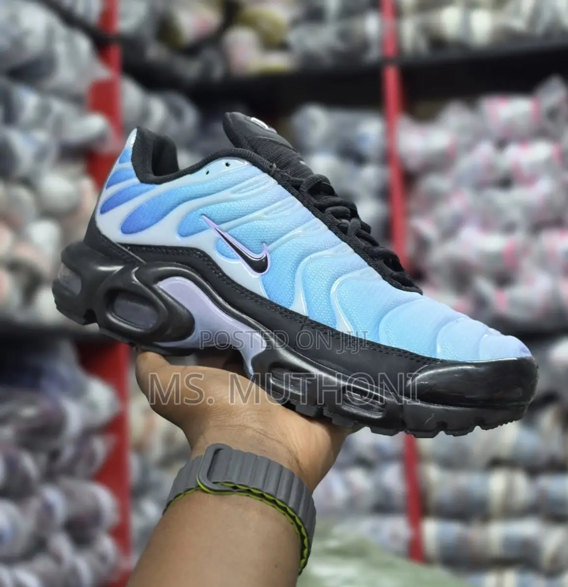 Nike Air Max Plus (TN) Blue Gradient Size 37-42