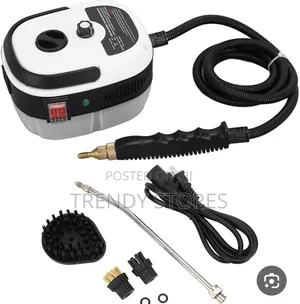 Steam Cleaner