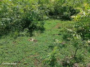 TIWI South Coast KWALE
