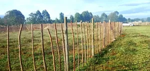 1/8 Acre Plot on Sale in Kipkenyo Eldoret