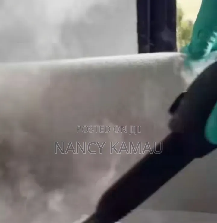 Deep Cleaning of Sofas and Mattresses