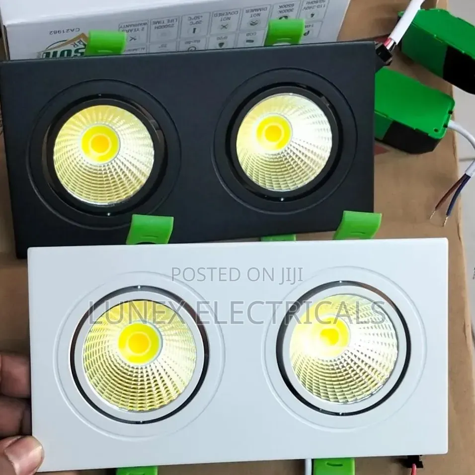Double Downlight
