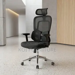 Office Chairs; High Executive Chair With Dual Backrest Support
