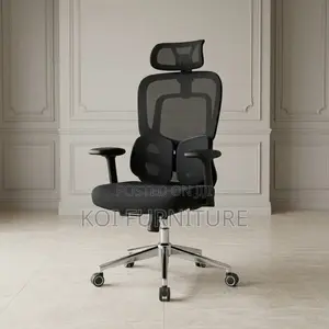 Office Chairs; High Executive Chair With Dual Backrest Support