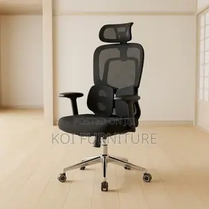 Office Chairs; High Executive Chair With Dual Backrest Support