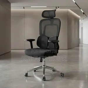 Office Chairs; High Executive Chair With Dual Backrest Support