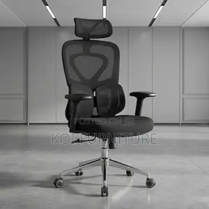 Office Chairs; High Executive Chair With Dual Backrest Support