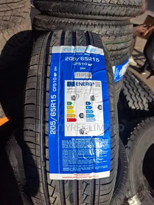 205/65r15 Comforser Tire