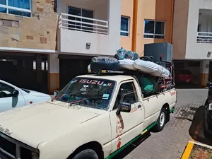 House Moving and Office