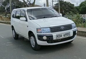 Toyota Probox 1.5 DX 2WD 2013 White