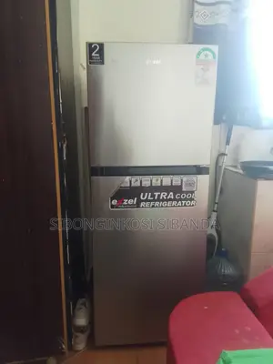 Frost Free Fridge
