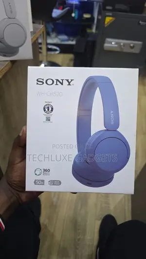 Sony Wh-Ch520