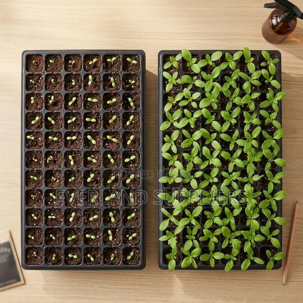 Seedling Trays for Raised Beds