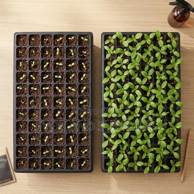 Seedling Trays for Raised Beds - main view