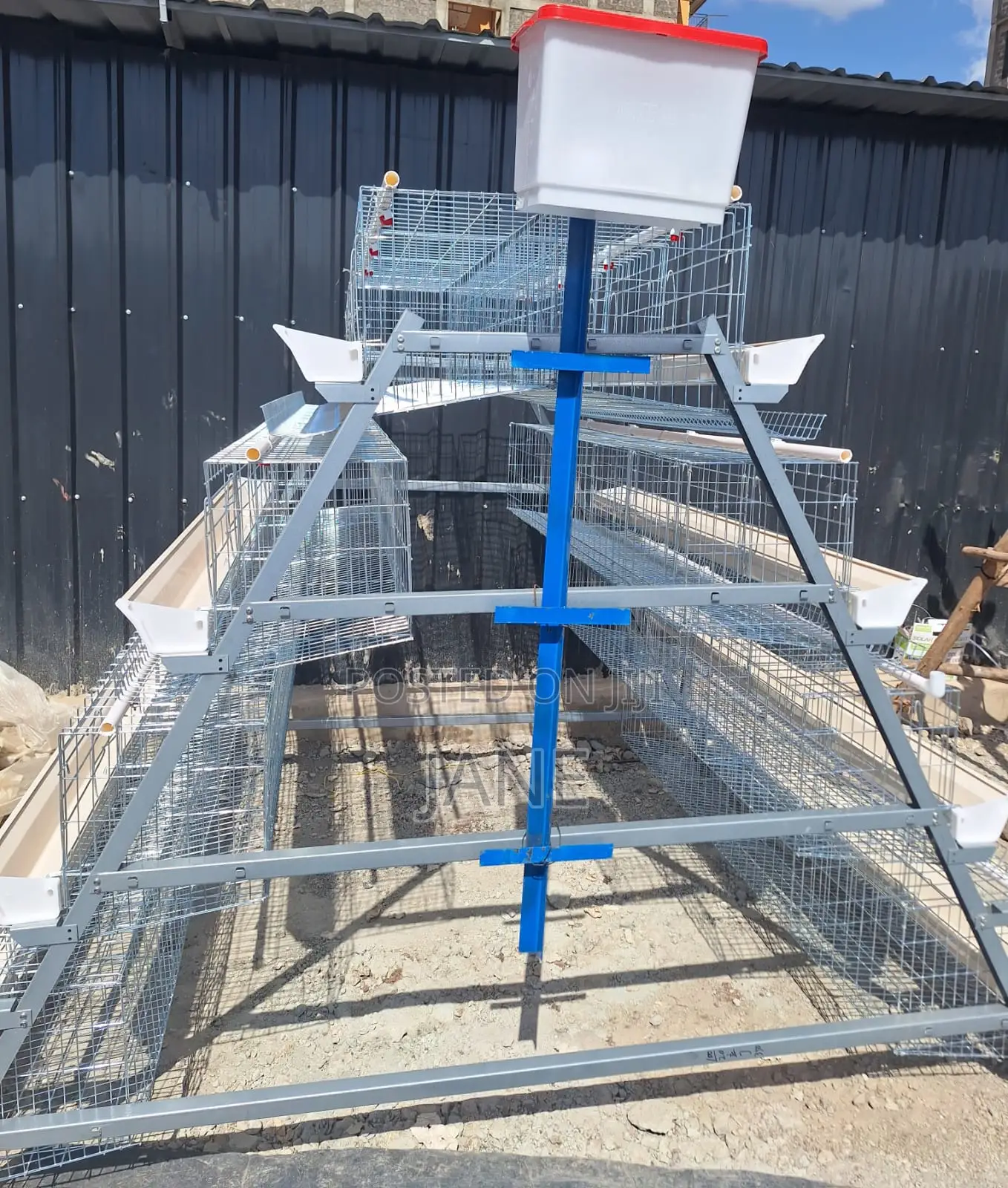 A Type Chicken Cages