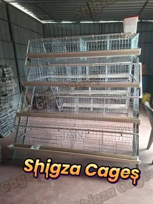A Type Chicken Cages