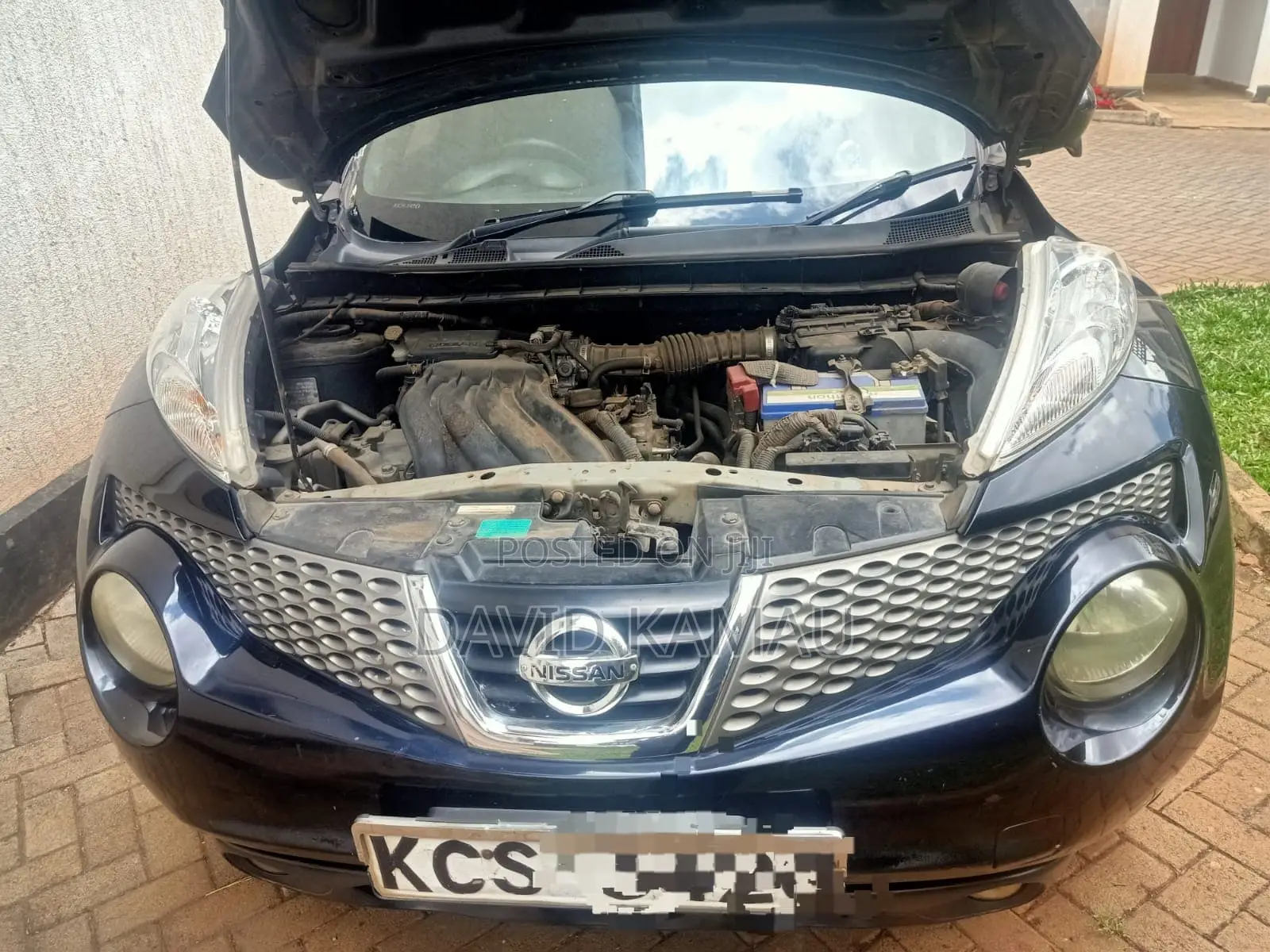 Nissan Juke 2011 Blue