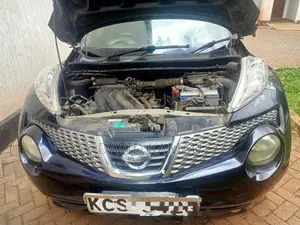 Nissan Juke 2011 Blue