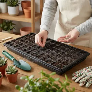 Trays Are Made of High Quality Plastic Material