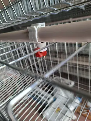 A Type Chicken Cages