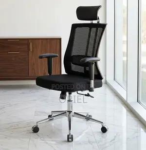 Office Chair : Executive and Professional Office Chair