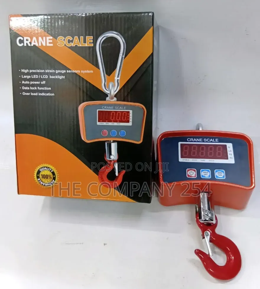 500kg Crane Scale