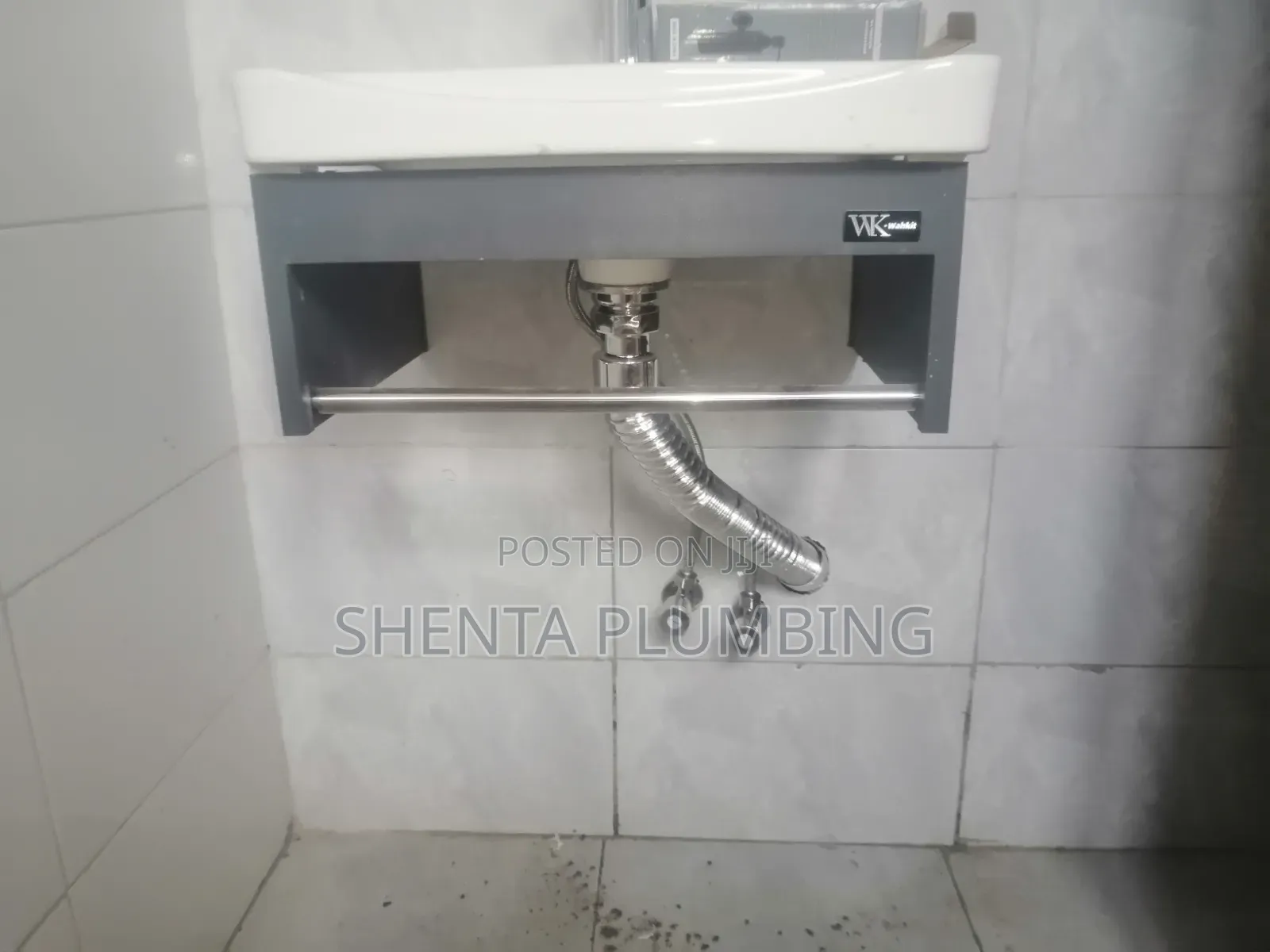 Professional Plumber