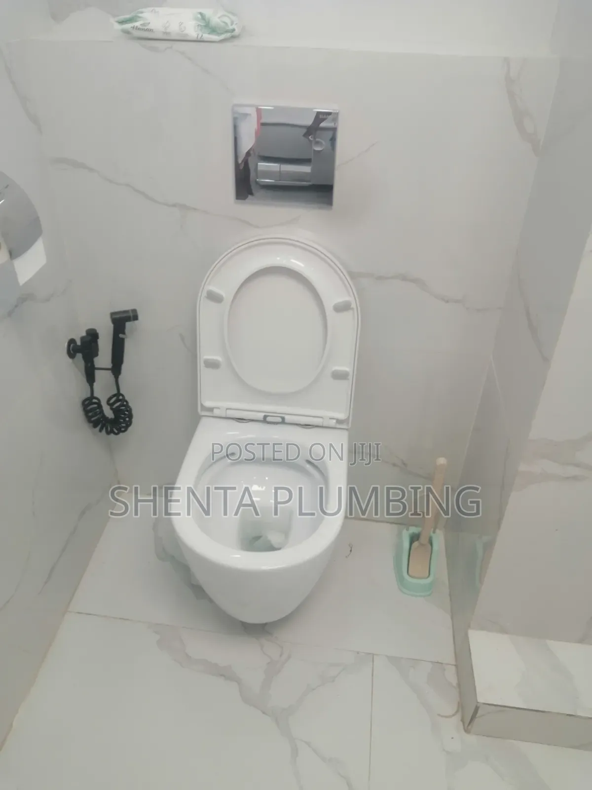 Professional Plumber