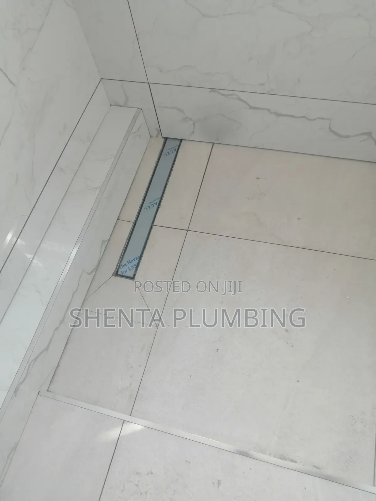 Professional Plumber