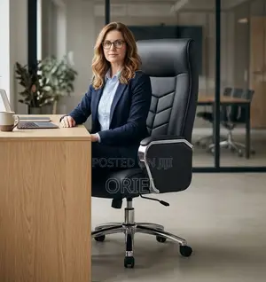 Office Chair : Leather Padded Office Director Chair