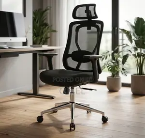 Office Chair : Orthopedic Office Chair With Knop