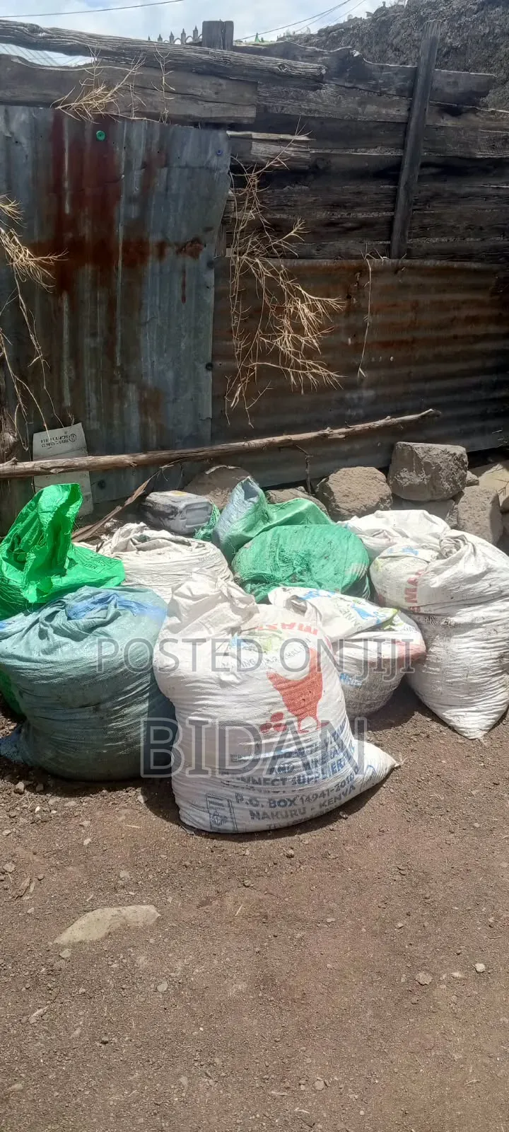 Chicken Manure
