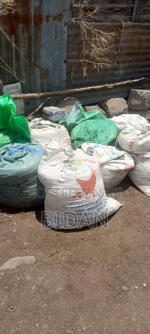 Chicken Manure
