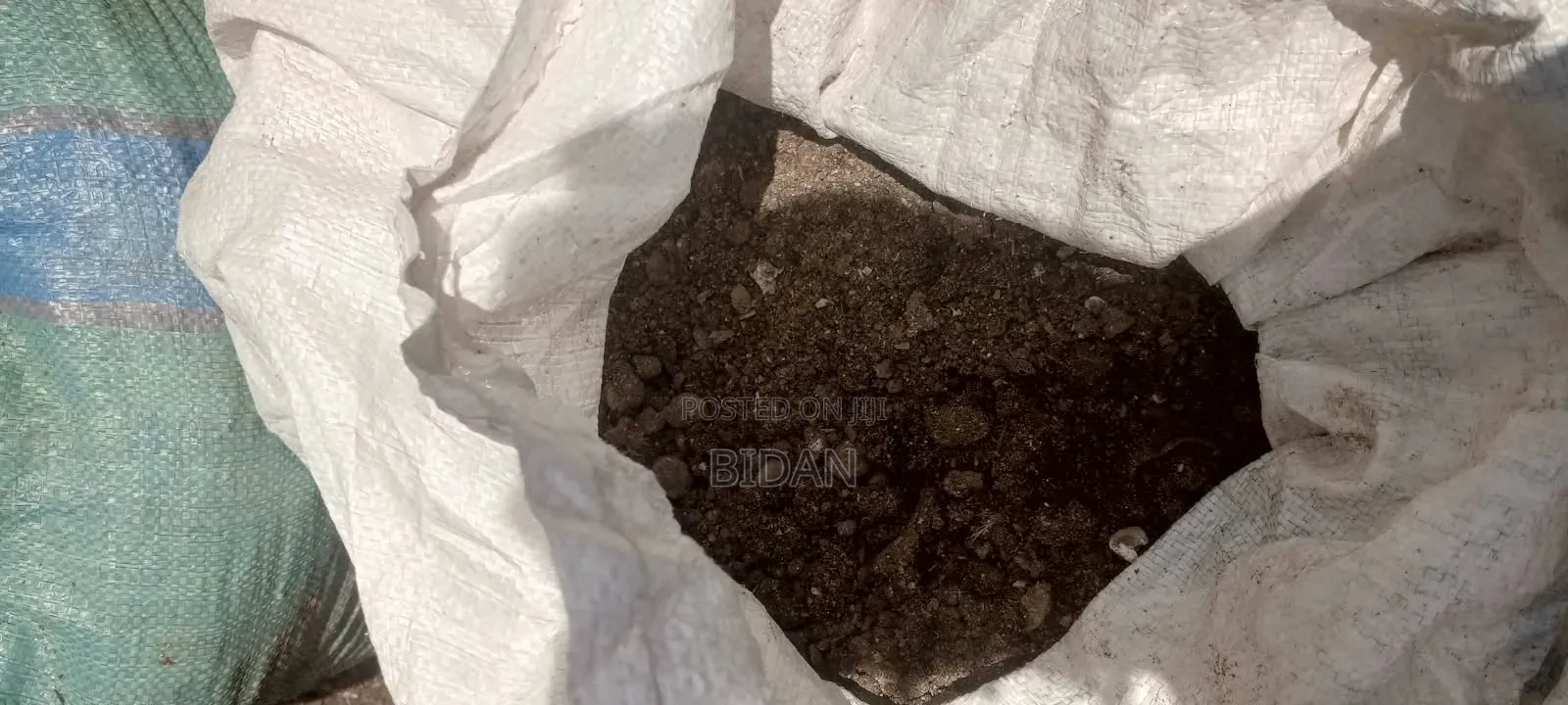 Chicken Manure