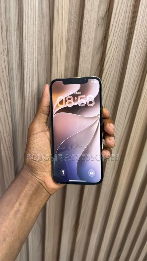 Apple iPhone 12 Pro 256 GB Graphite - thumbnail 4