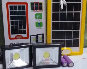 Solar Power Solar Panel + 2 LED Flood Lights USB Phone Charging