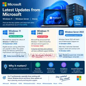 Windows 10/11 & Microsoft Office Installation
