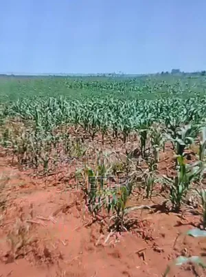 100 Acres of Land for Sale at Gatirima Tandare Laikipia