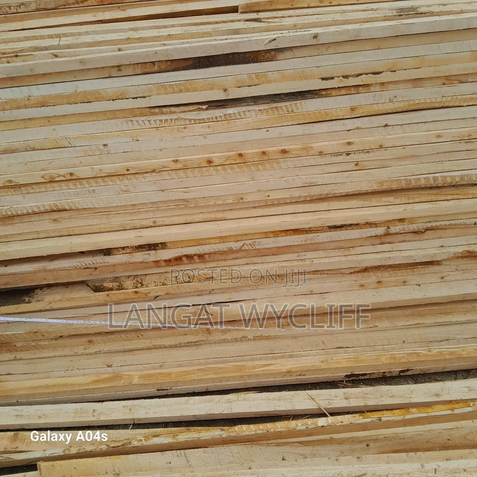 Wood Fibers