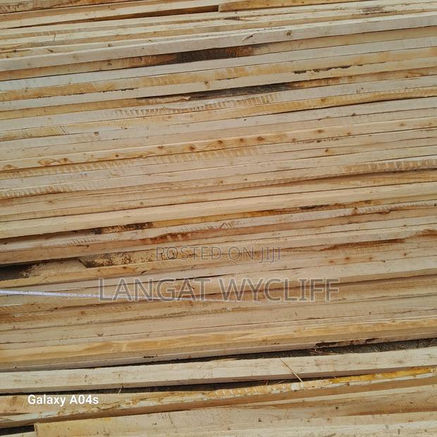 Wood Fibers