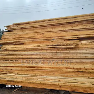 Wood Fibers