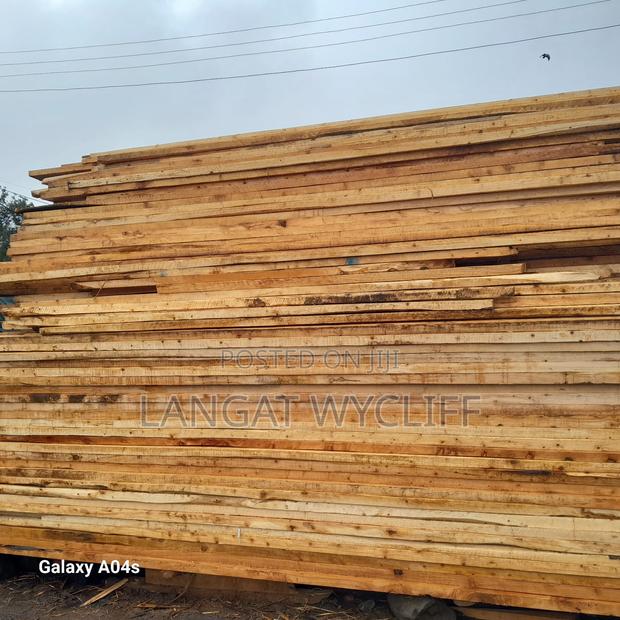 Wood Fibers - thumbnail 2