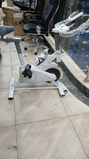 Euromax Exercising Spin Bike