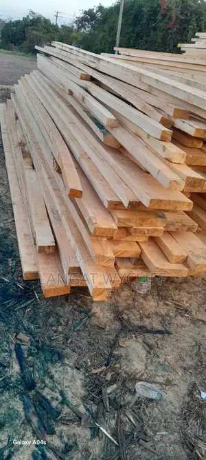 Timber Traces