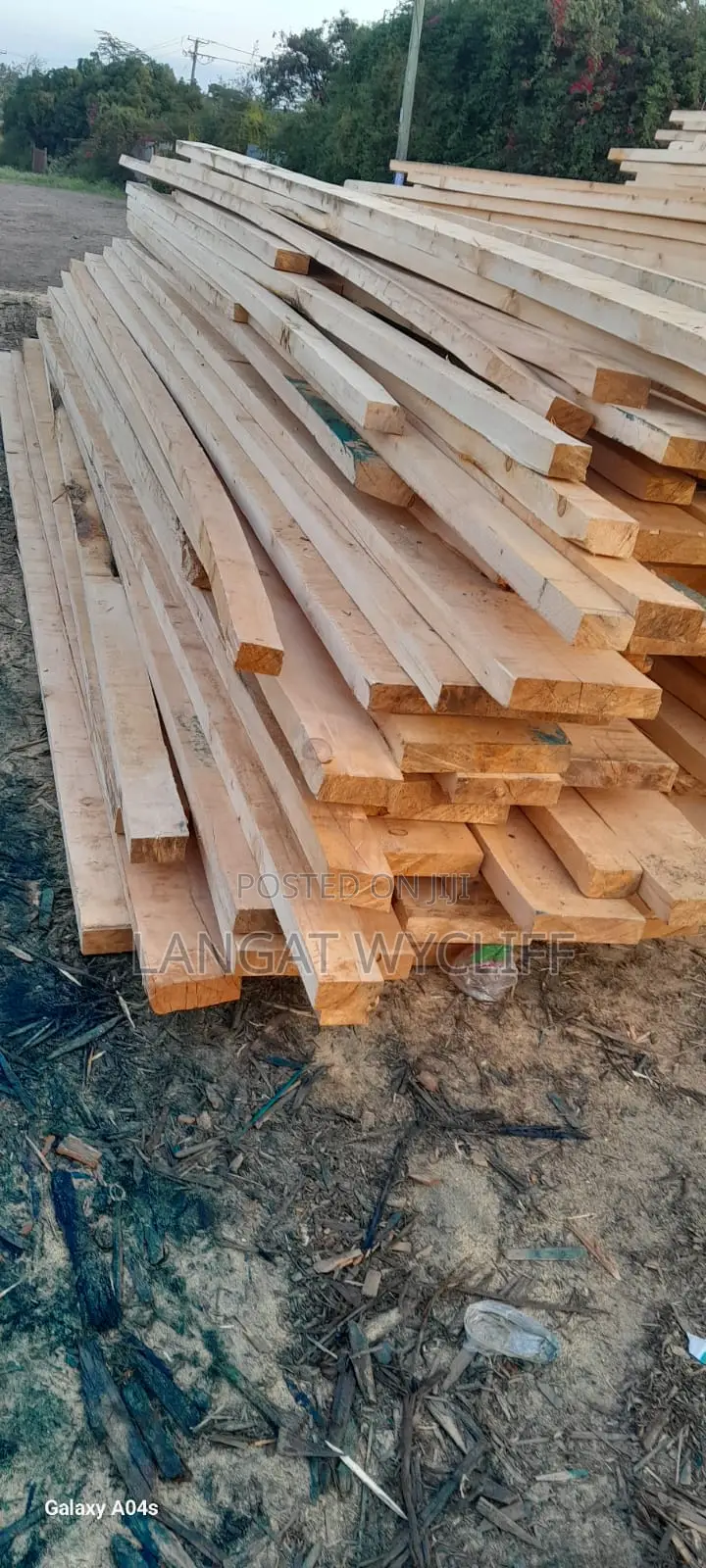 Timber Traces
