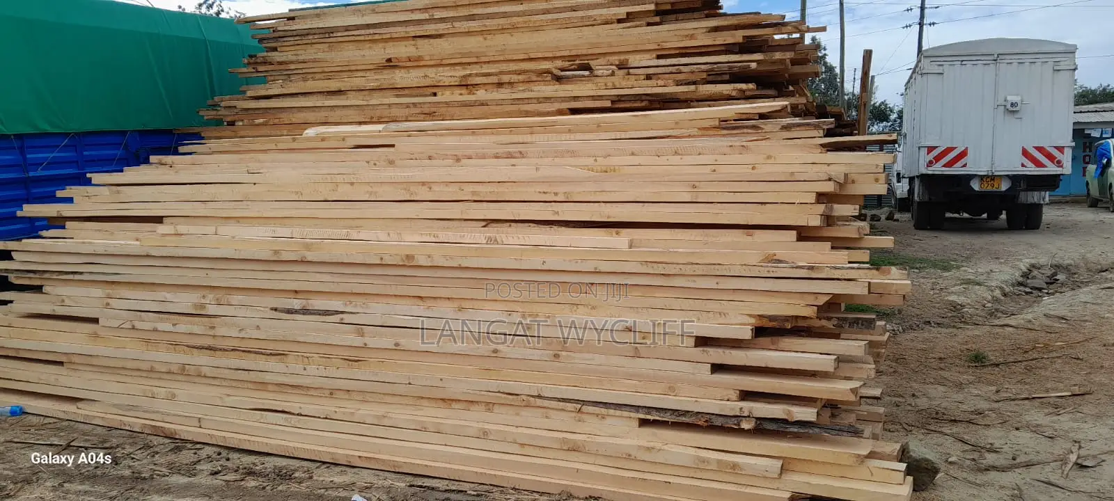 Timber Traces