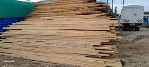 Timber Traces