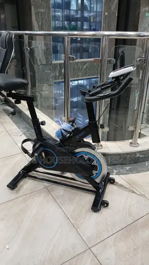Euromax Blue and Black Exercise Spin Bike