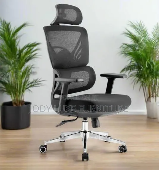 Executive Office Chair (Orthopedic)